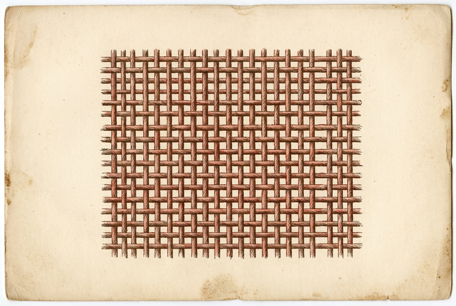 Magnified view of cotton percale fabric with threads crossing one over and one under in a tight repeating grid, giving a matte surface with small regular gaps.